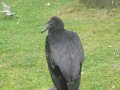 IMGP0942.JPG